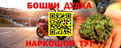 спайс Гагарин
