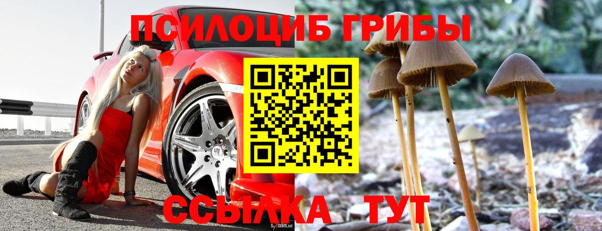 Галлюциногенные грибы Magic Shrooms  Псилоцибиновые грибы MAGIC MUSHROOMS  Вход с VPN  Елизово 